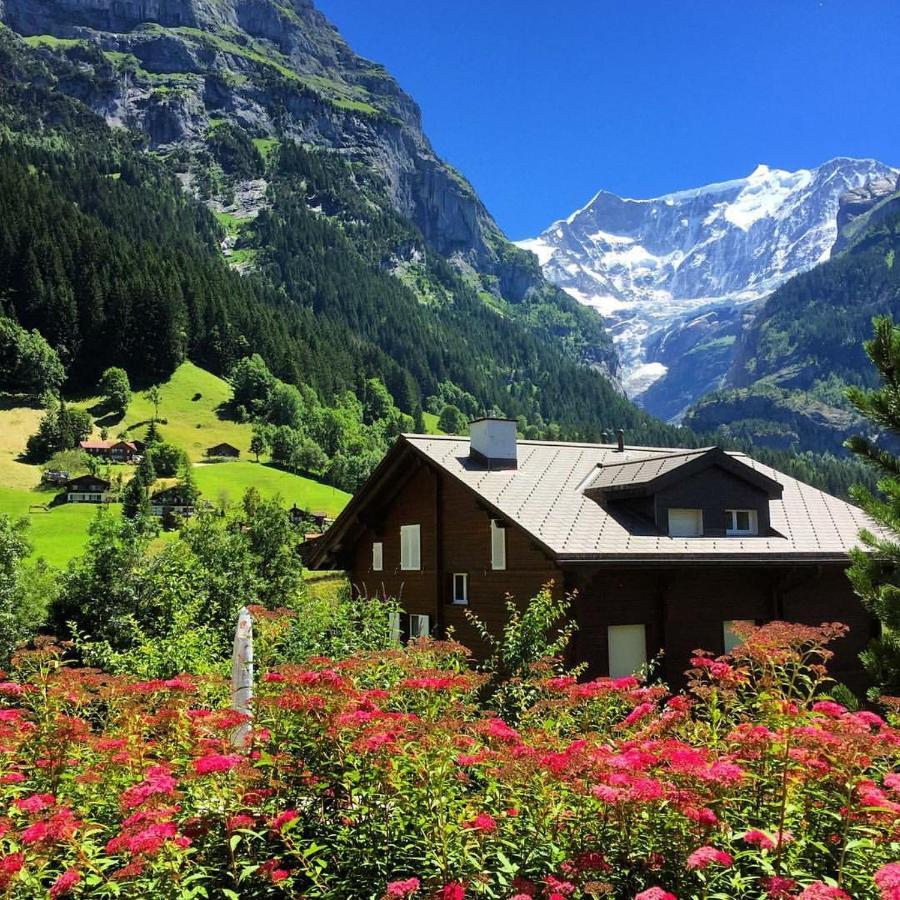Chalet Pfingsteggblick Grindelwald Exteriér fotografie