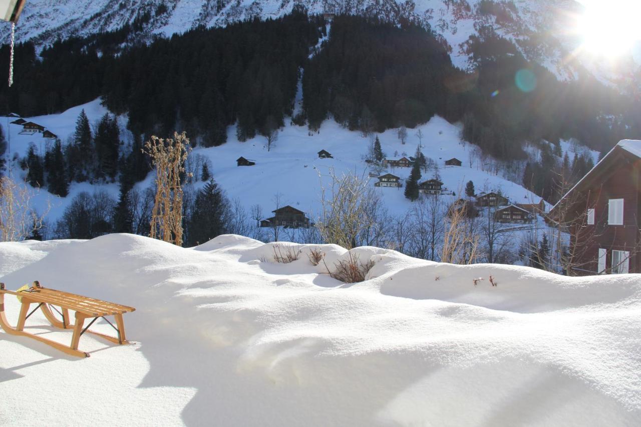 Chalet Pfingsteggblick Grindelwald Exteriér fotografie