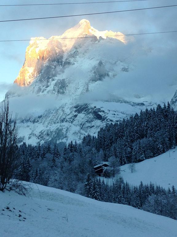 Chalet Pfingsteggblick Grindelwald Exteriér fotografie