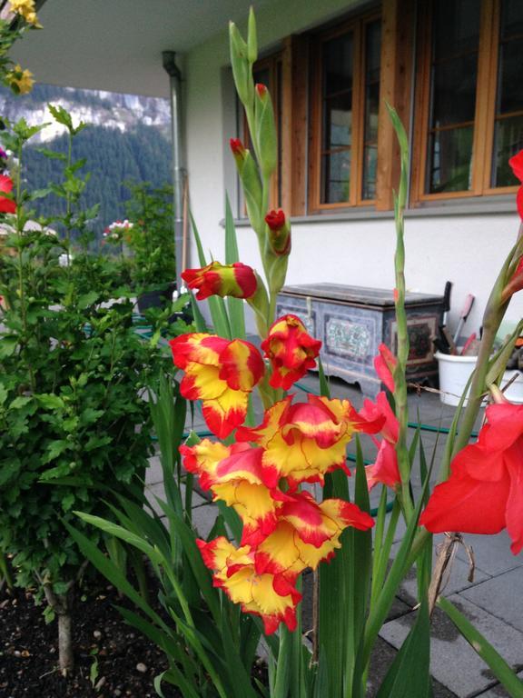 Chalet Pfingsteggblick Grindelwald Exteriér fotografie