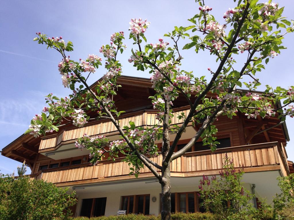 Chalet Pfingsteggblick Grindelwald Exteriér fotografie